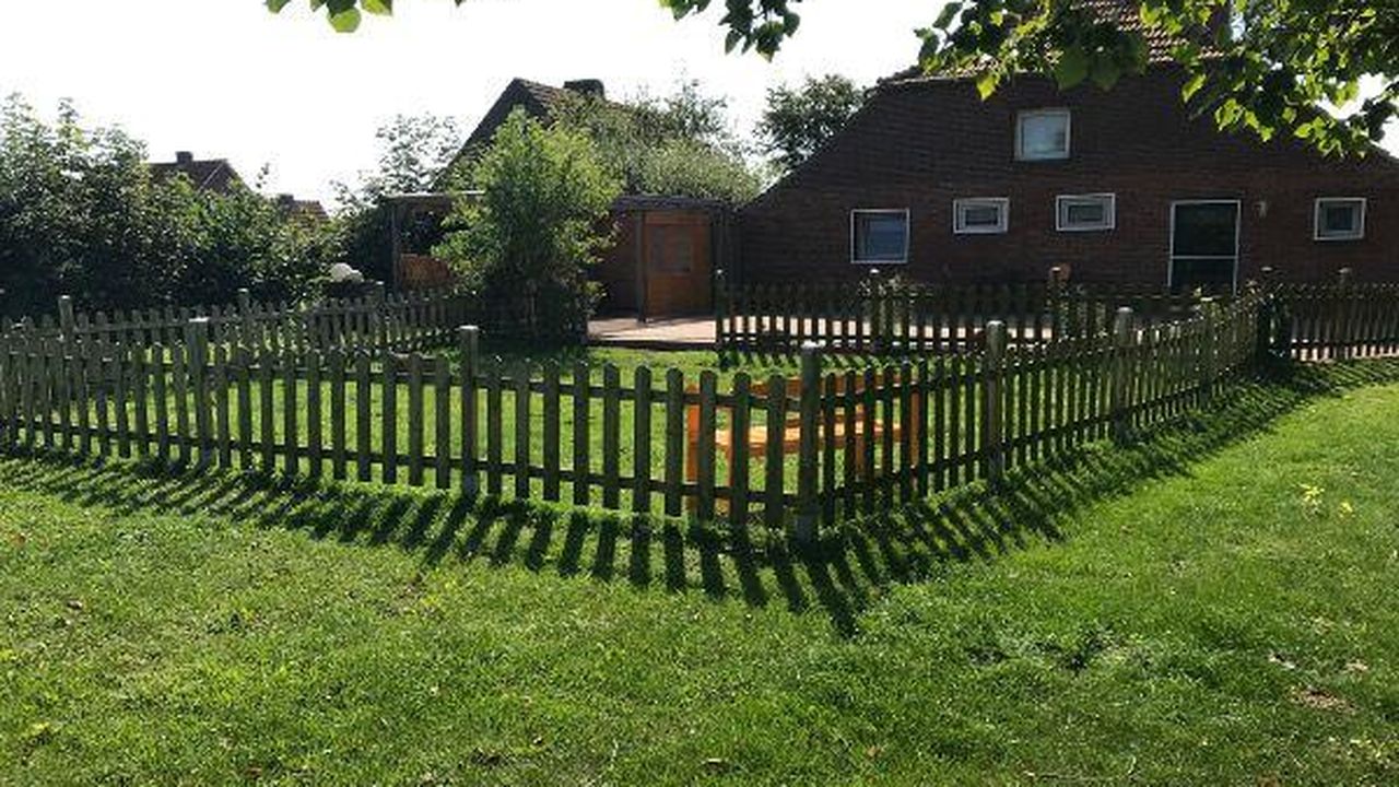 Terrasse. Hundewiese mit Bank Terrasse. Hundewiese mit Bank